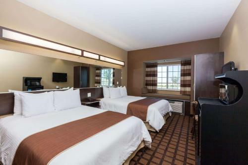 Hotel Microtel Inn & Suites By Wyndham Wheeler Ridge