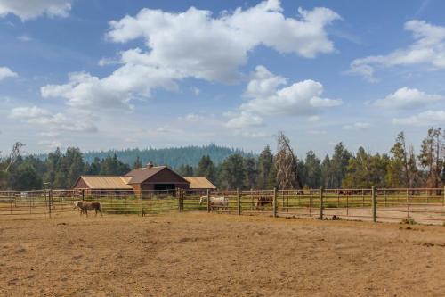 White Elm Lane 04 | Discover Sunriver
