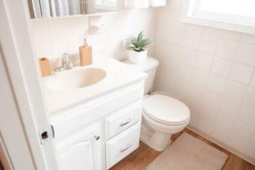 Beautiful Home! 25 Minutes To Downtown Chicago