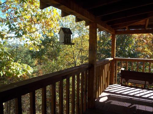 Champagne Dreams Cabin