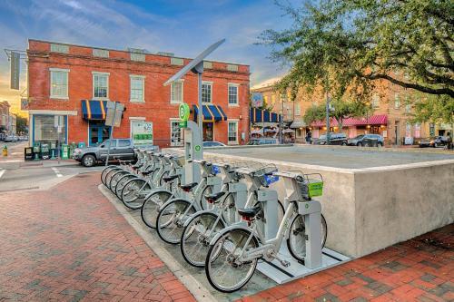 Savannah Serendipity