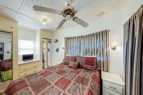 Sand Dollar Dreams