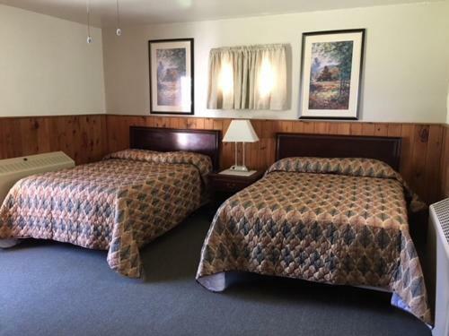 Motel The Forest Lodge And Campground