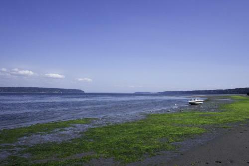 238 - Bells Beach Getaway