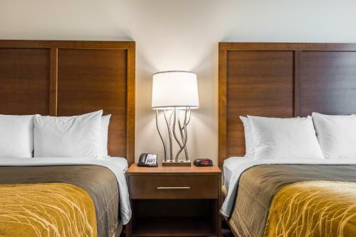 Hotel Comfort Inn & Suites Valdosta
