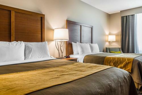 Hotel Comfort Inn & Suites Valdosta