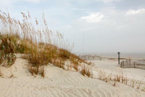 Catesby's Bluff 2240