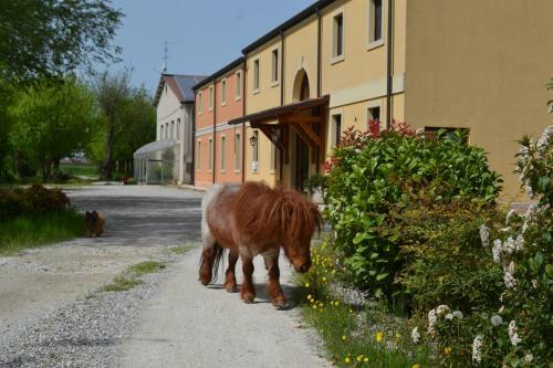 Agroturismo Agriturismo Otto Ducati D'oro