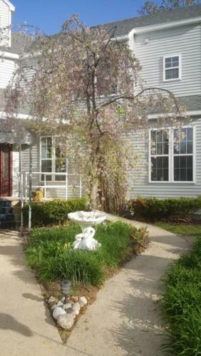 Apartamento Highland Hideaway - Petite Pearl Room