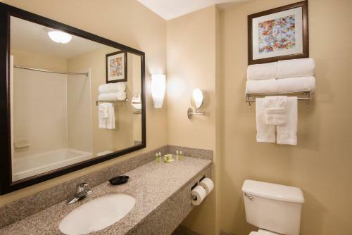 Hotel Holiday Inn Express & Suites - Sharon-hermitage