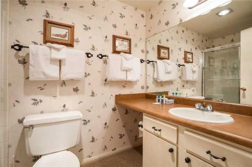 Storm Meadows Club B Condominiums - Cb319