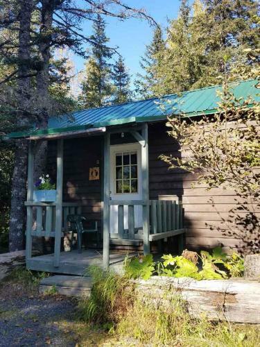 Exit Glacier Lodge