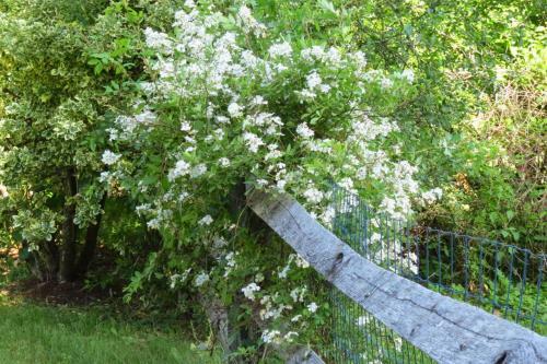 Timber Post Bed & Breakfast