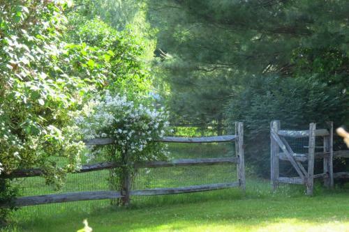 Timber Post Bed & Breakfast