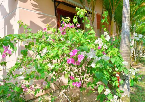 Bed & Breakfast Bungalow Yen Trinh