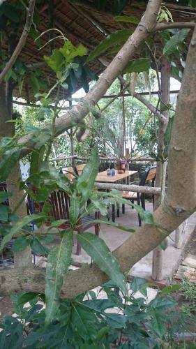 Ben Tre Stay