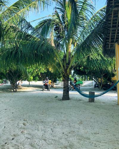 Ocean Beach Bungalows & Hostel