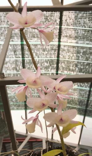 Bed & Breakfast Hue Homestay Riverside