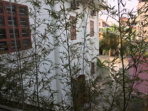 Bed & Breakfast Ph??ng Linh Hotel