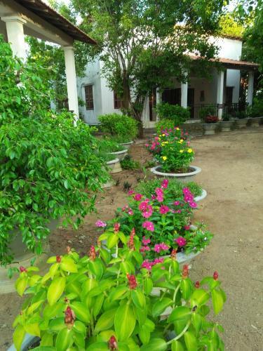 Hotel Long Chau Resort