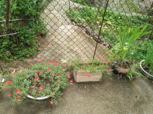 Minh Khang Homestay Ban Gioc