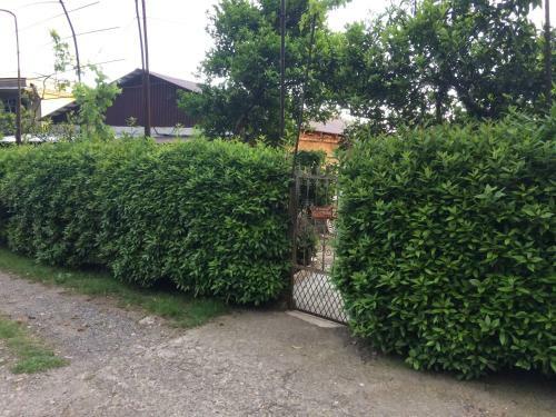 Guest-house Elona