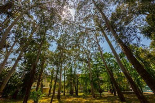 Wellness Park Hotel Gagra All-inclusive