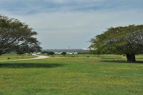 De Hoop Collection