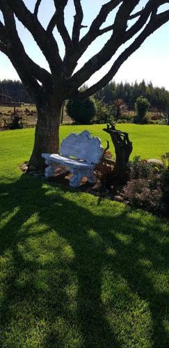 Hostal Forest Hill Country Lodge