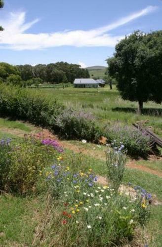 Hostal Willow Creek Trout And Nature Reserve