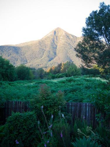 Hostal Andelomi Nature's Rest