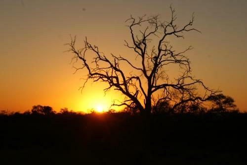 Weltevreden Country Guest Lodge