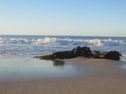 Apartamento Nautilus Self Catering Accommodation