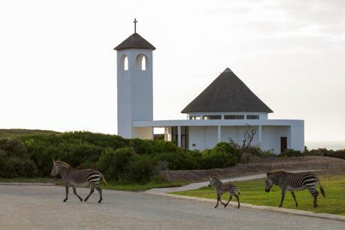 Hotel Gourikwa Nature Reserve
