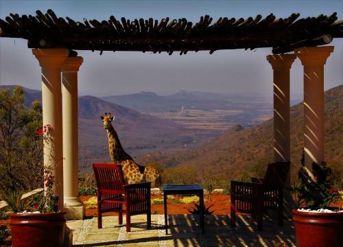 Lodge Graceland Eco Retreat