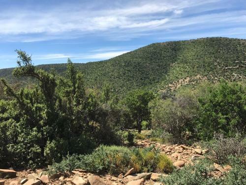Lodge Koedoeskop Private Mountain Reserve