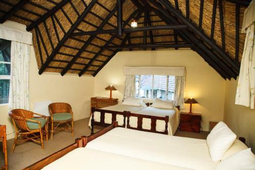 Mount Sheba Rainforest Hotel & Resort