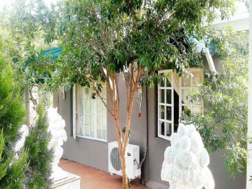 Hostal Jasmine Cottage