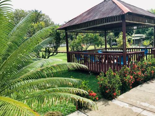 Lodge Jungle Spa E Hotel