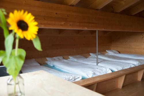 Hotel Berghaus Sulzfluh