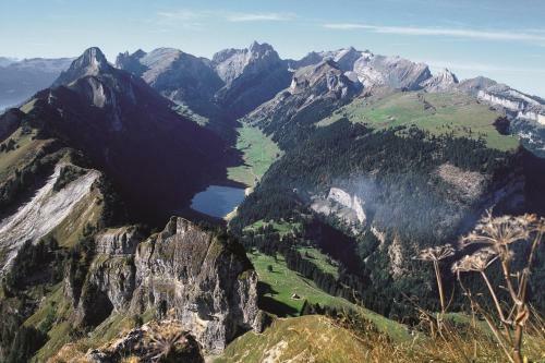 Weissbad Lodge