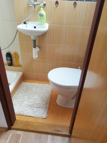 Apartman V Zahrade