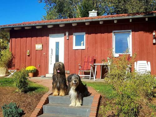 Cozy Holiday Home In Laisa With Private Terrace
