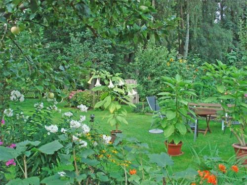 Apartamento Ferienwohnungen Muehl Rosin Schw 6
