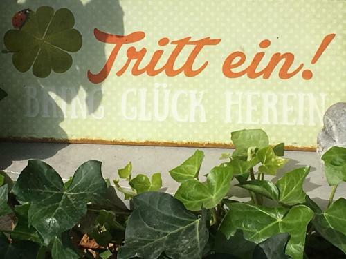 Apartamento Ferienwohnung Auszeit Am Allenberg