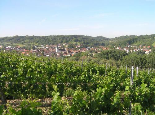 Apartamento Ferienwohnung Am Alten Berg