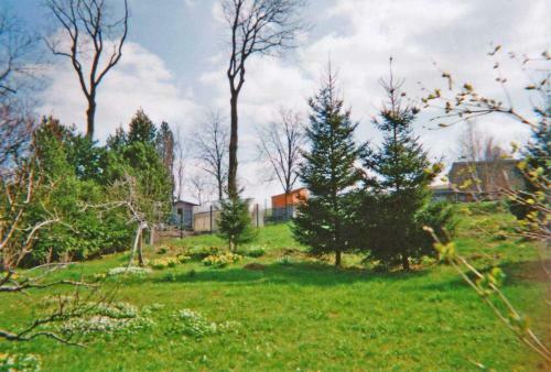 Ferienhaus Markersbach Erz 1061
