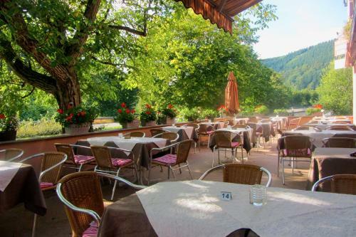 Hotel Gr�ner Baum