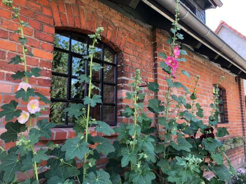 Apartamento Appartement Alte Schmiede