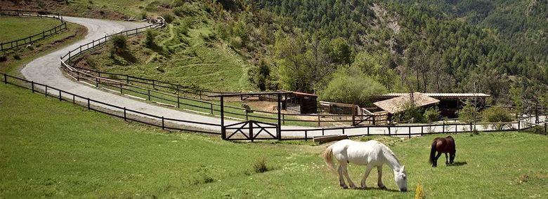 Hotel Cal Paller